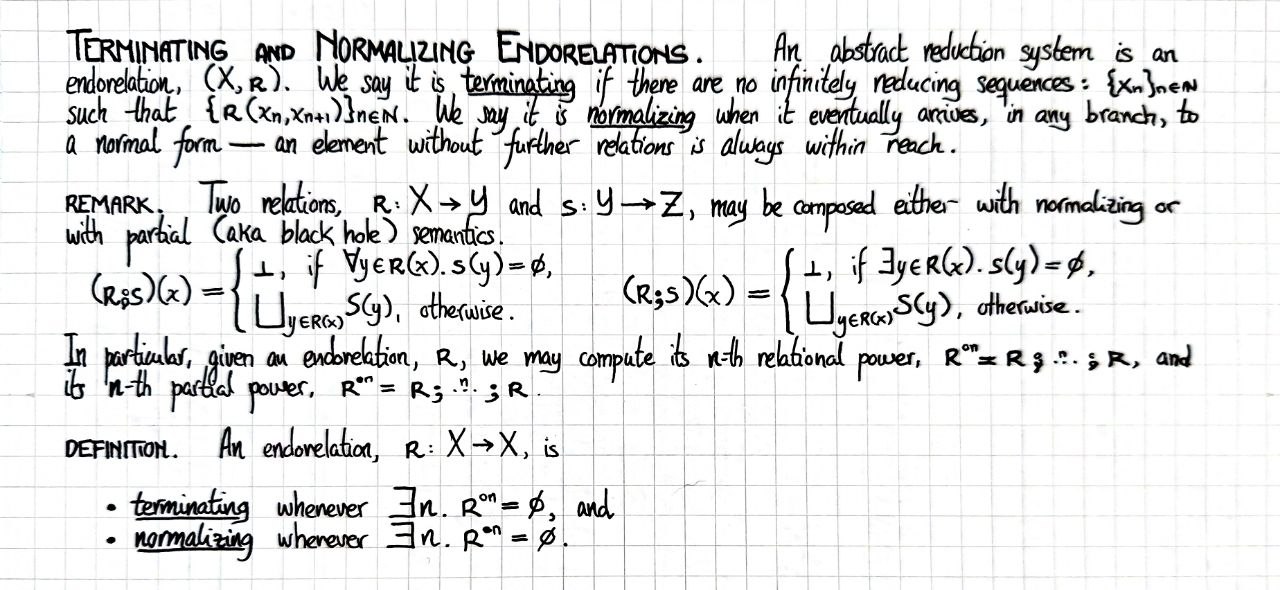 terminating-and-normalizing-endorelations